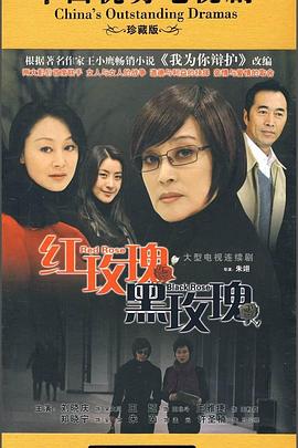 王建陳婷反客為主的小說
