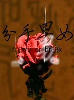 楓と鈴楓與鈴動(dòng)畫(huà)