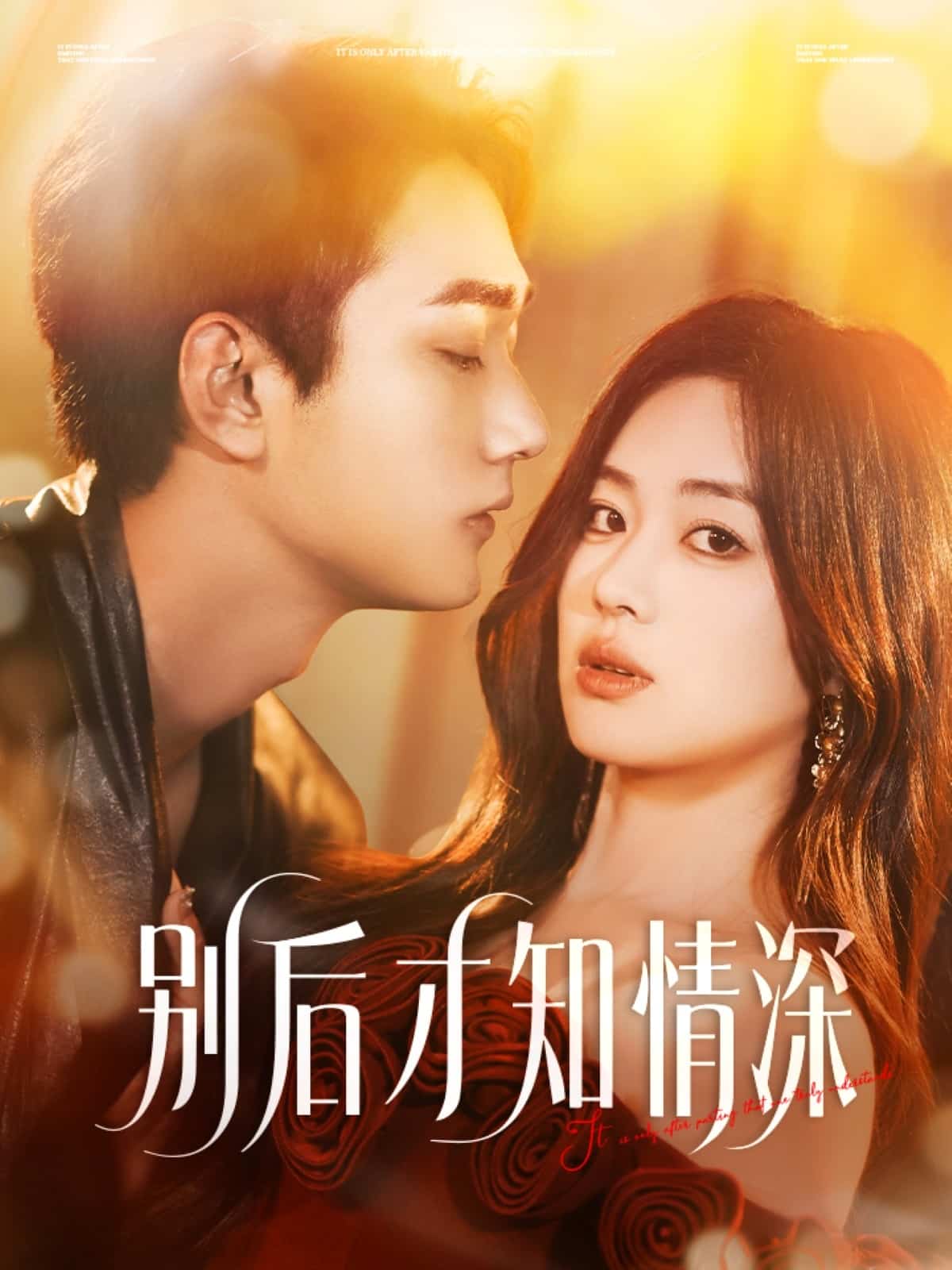 《繼父與兒女媳婦》系列劇集