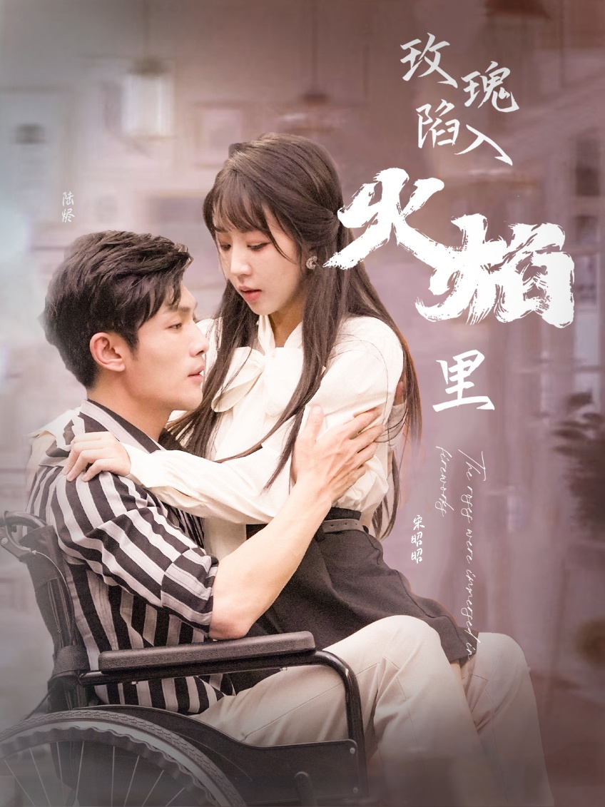 家庭亂論小說