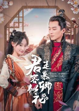 本莊優(yōu)花理論片在線播放