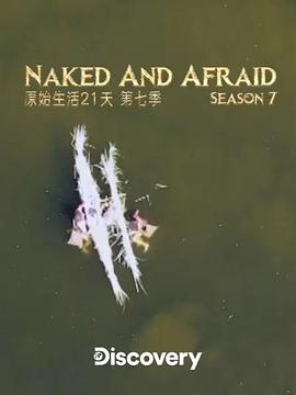 至尊老板林媚小說