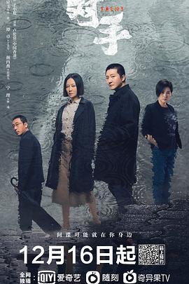 林秀蘭教傻子全文免費閱讀